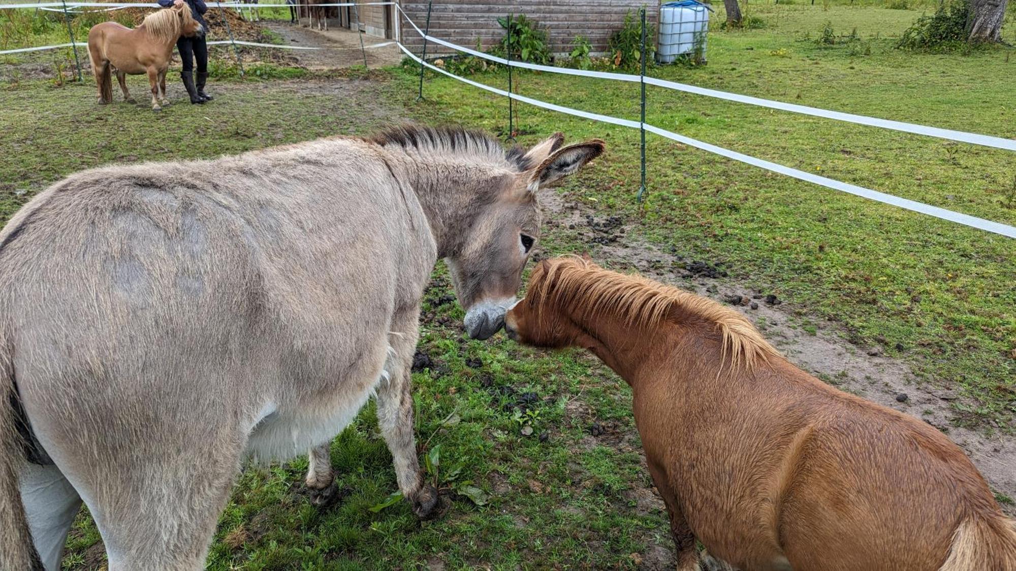 Gite Chez Loupi Épaignes Exteriör bild